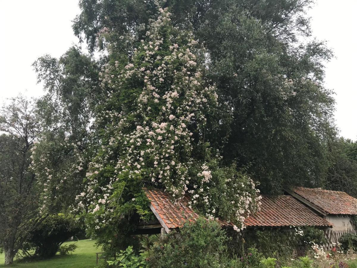 مبيت وإفطار Maintenay Le Jardin Sauvage المظهر الخارجي الصورة