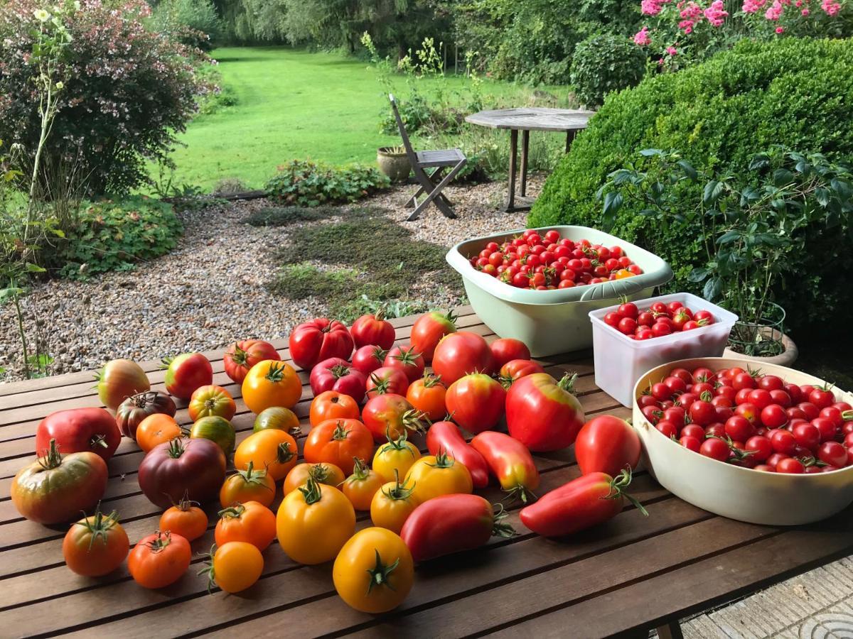 مبيت وإفطار Maintenay Le Jardin Sauvage المظهر الخارجي الصورة