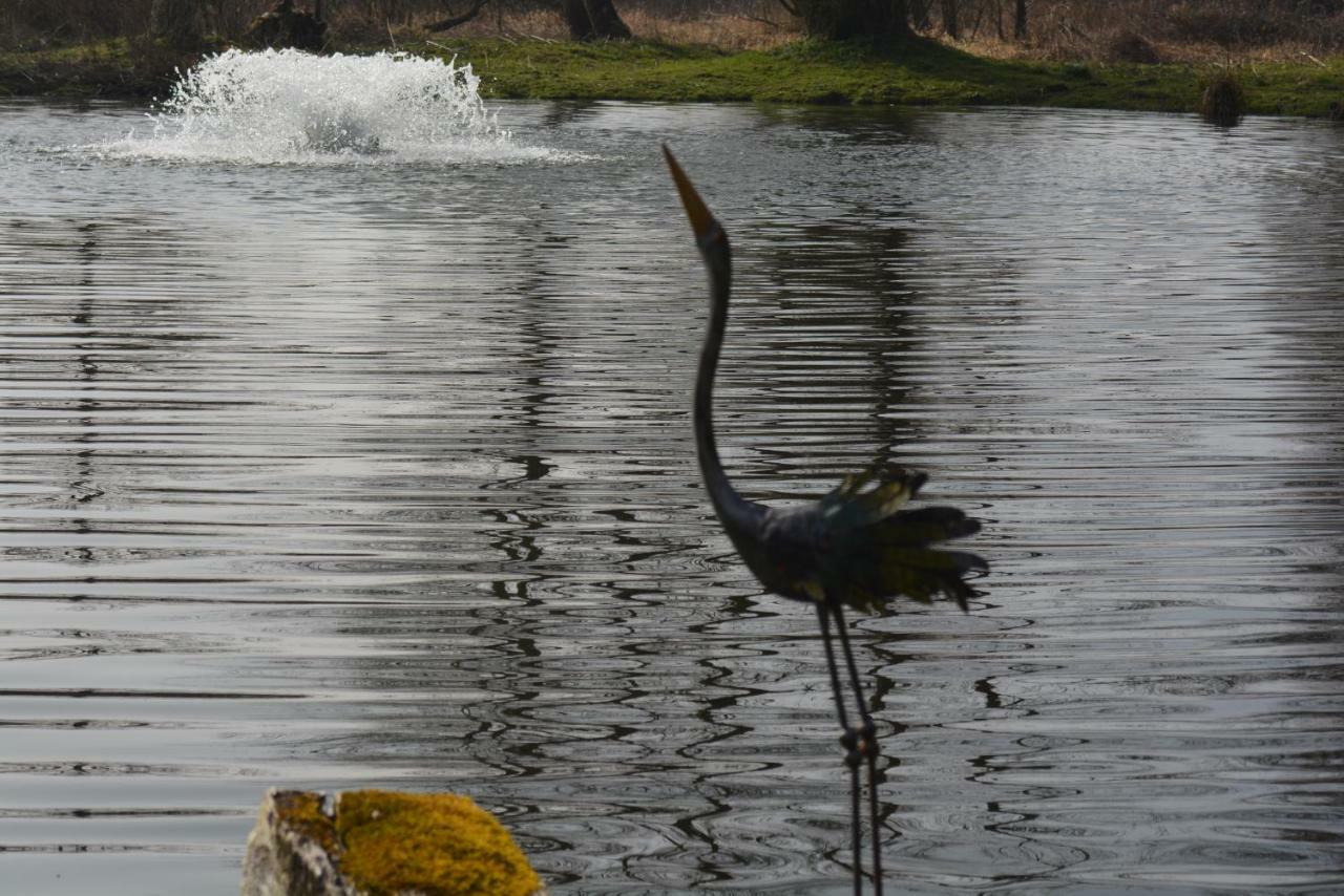 مبيت وإفطار Maintenay Le Jardin Sauvage المظهر الخارجي الصورة