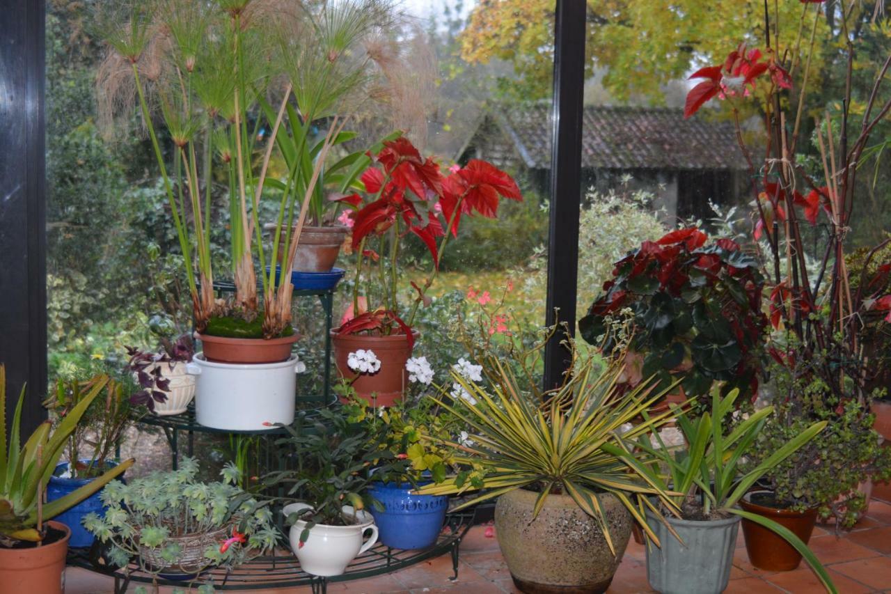 مبيت وإفطار Maintenay Le Jardin Sauvage المظهر الخارجي الصورة
